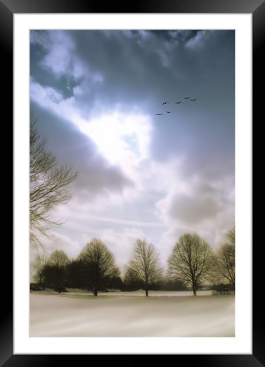 A WINTER DAY Framed Mounted Print by Tom York
