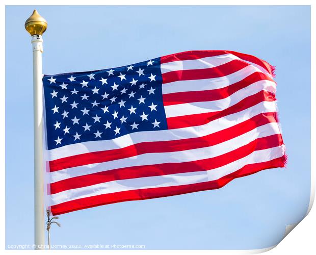 USA Flag Print by Chris Dorney