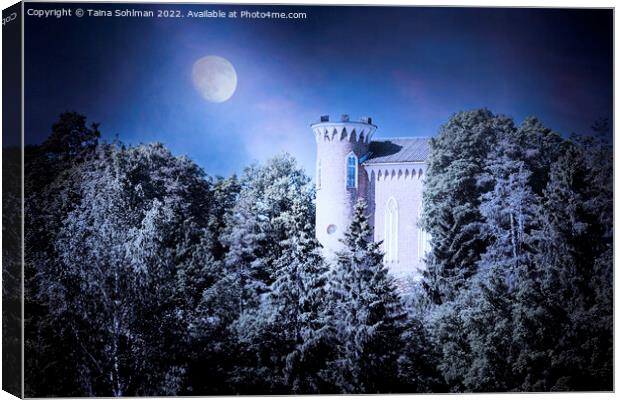 Hirvilinna Castle at Night  Canvas Print by Taina Sohlman