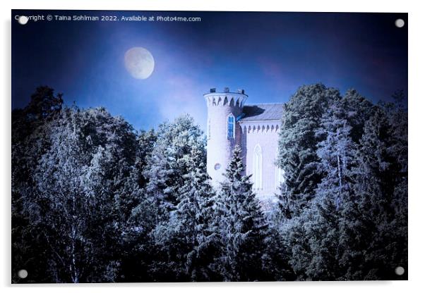 Hirvilinna Castle at Night  Acrylic by Taina Sohlman