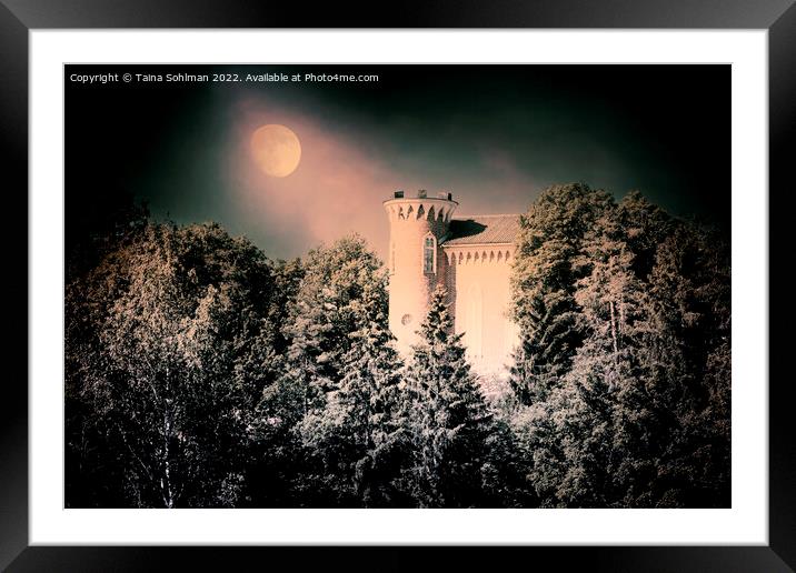 Hirvilinna Castle in Moonlight Framed Mounted Print by Taina Sohlman