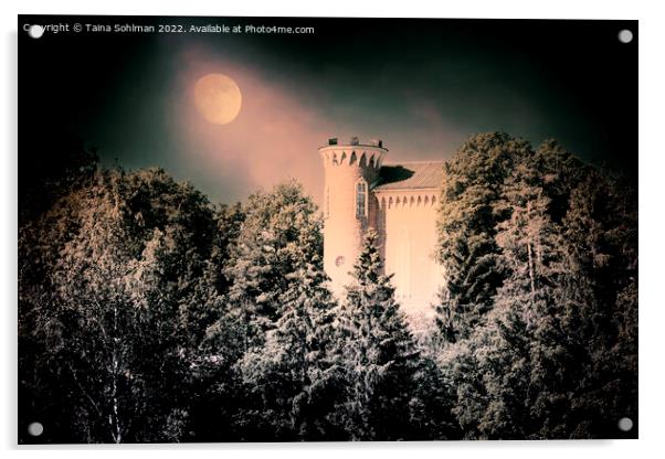 Hirvilinna Castle in Moonlight Acrylic by Taina Sohlman