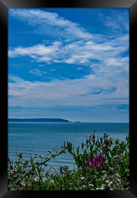A view from Highcliffe Framed Print by Joyce Storey