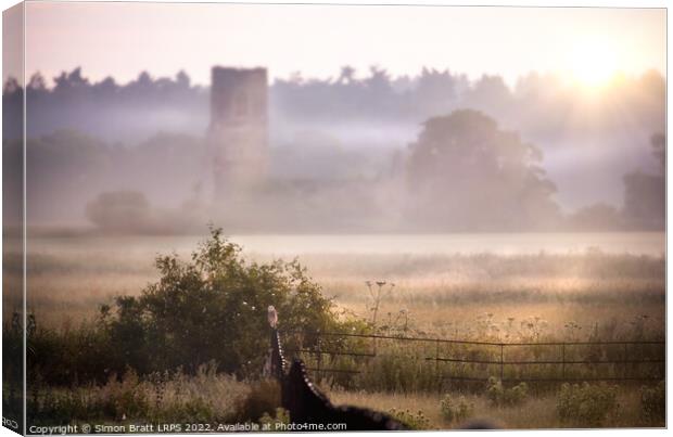 View from Castle Rising in Norfolk uk with barn owl Canvas Print by Simon Bratt LRPS