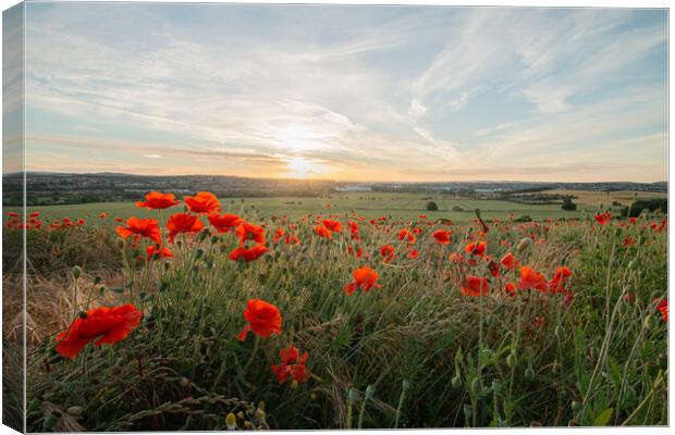 Poppies Late In The Day Canvas Print by J Biggadike