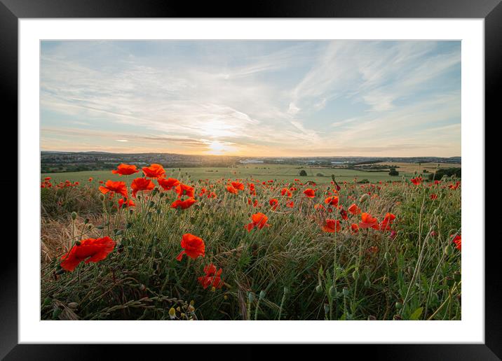 Poppies Late In The Day Framed Mounted Print by J Biggadike