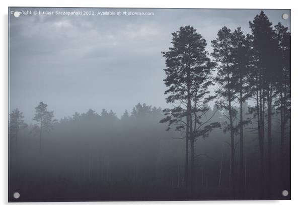 Mystery pine forest Acrylic by Łukasz Szczepański