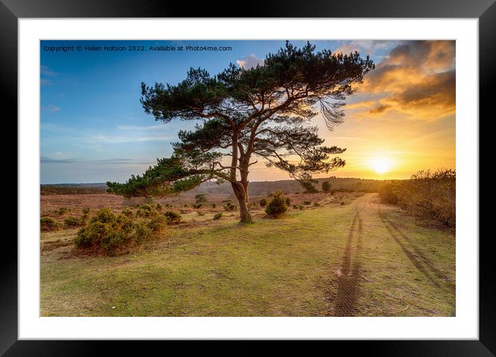 Beautiful sunset over a lone Pine tree at Bratley View  Framed Mounted Print by Helen Hotson
