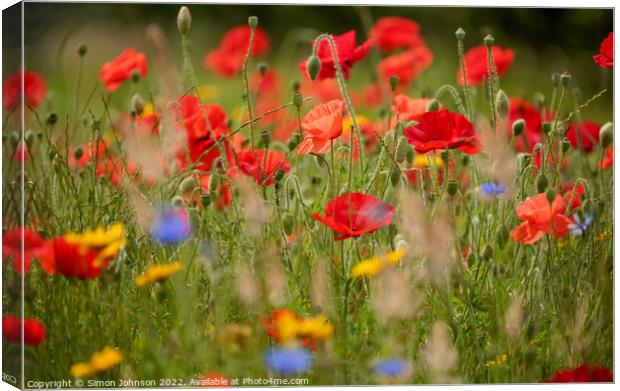 poppy and meadow flowersr  Canvas Print by Simon Johnson