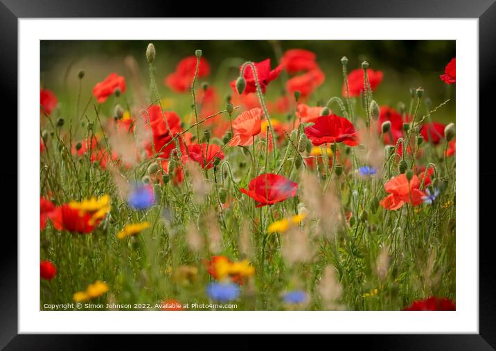 poppy and meadow flowersr  Framed Mounted Print by Simon Johnson
