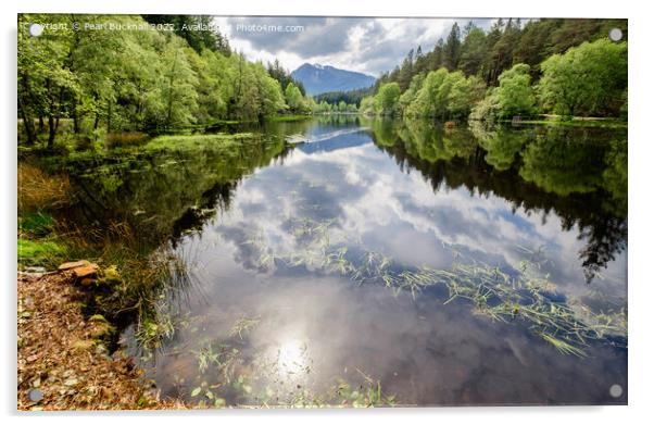 Glencoe Lochan Highland Scotland Acrylic by Pearl Bucknall