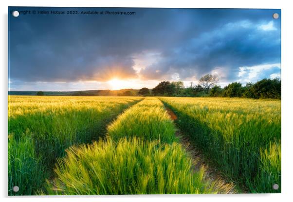 Dramatic Sunset over Barley Fields Acrylic by Helen Hotson