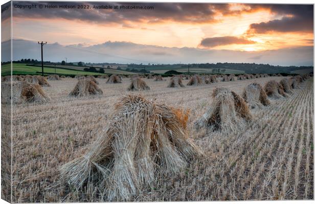 Barley Harvest in Devon Canvas Print by Helen Hotson