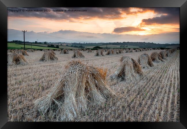 Barley Harvest in Devon Framed Print by Helen Hotson