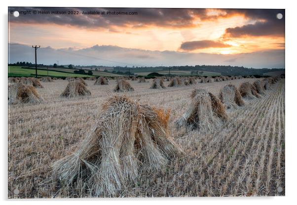 Barley Harvest in Devon Acrylic by Helen Hotson