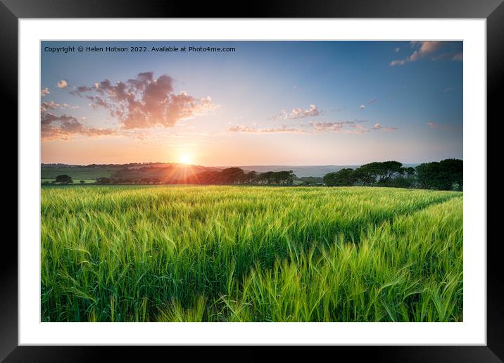 Beautiful Sunset over Fields of Barley Framed Mounted Print by Helen Hotson