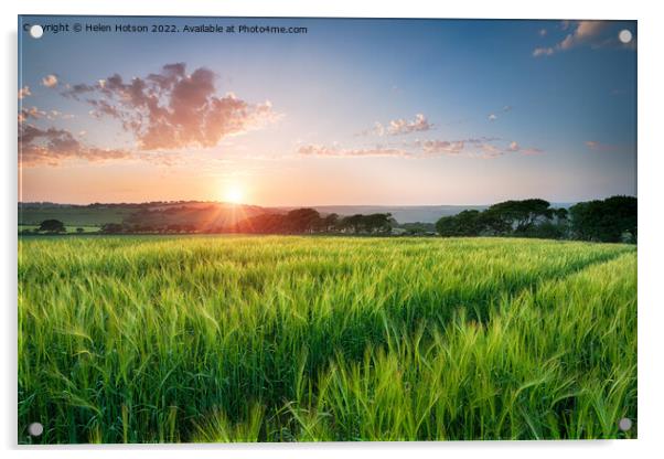 Beautiful Sunset over Fields of Barley Acrylic by Helen Hotson