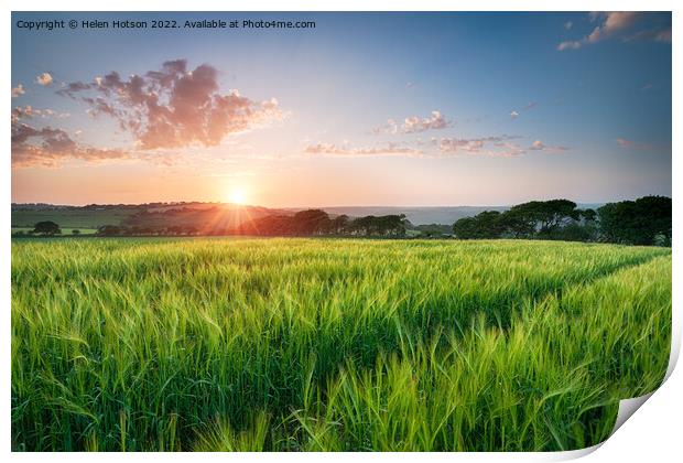 Beautiful Sunset over Fields of Barley Print by Helen Hotson