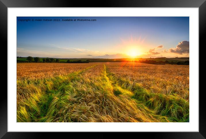 Golden Barley Field Framed Mounted Print by Helen Hotson