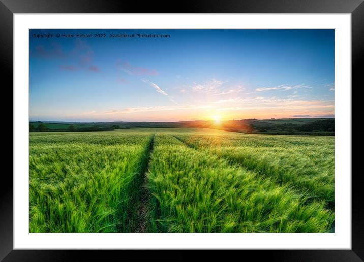 Barley Field Sunset Framed Mounted Print by Helen Hotson