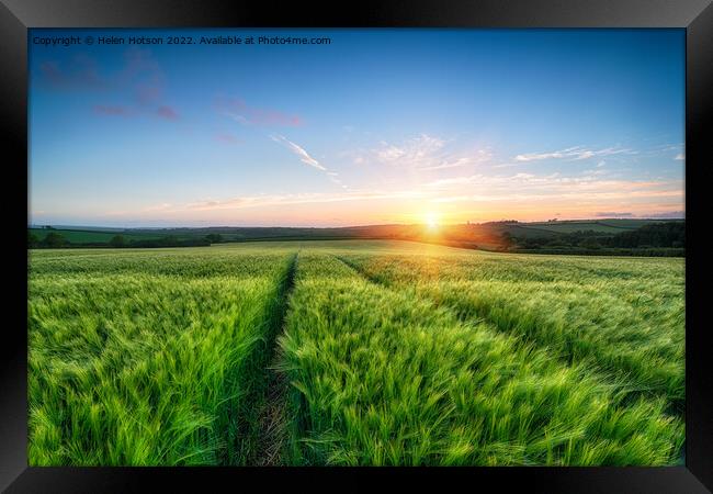 Barley Field Sunset Framed Print by Helen Hotson