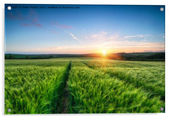 Barley Field Sunset Acrylic by Helen Hotson