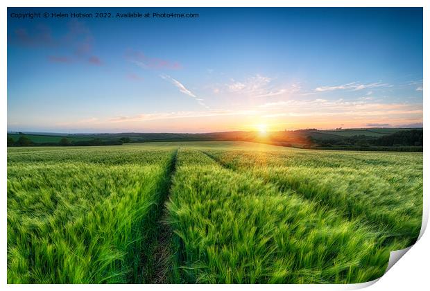 Barley Field Sunset Print by Helen Hotson