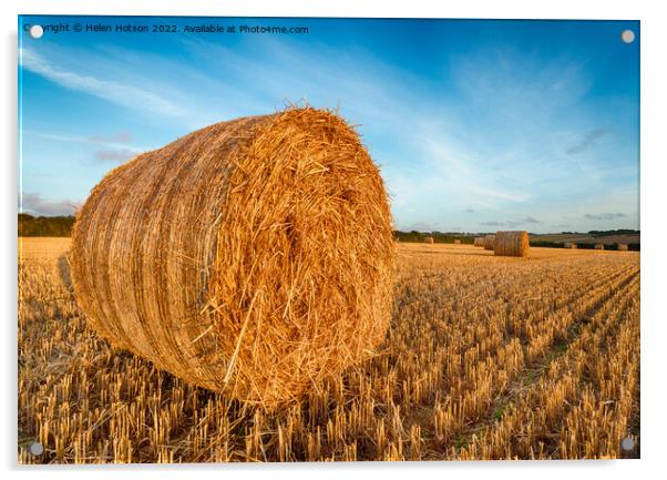 Hay Bales Acrylic by Helen Hotson