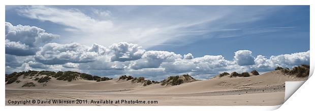 Sand Dunes Print by Dave Wilkinson North Devon Ph