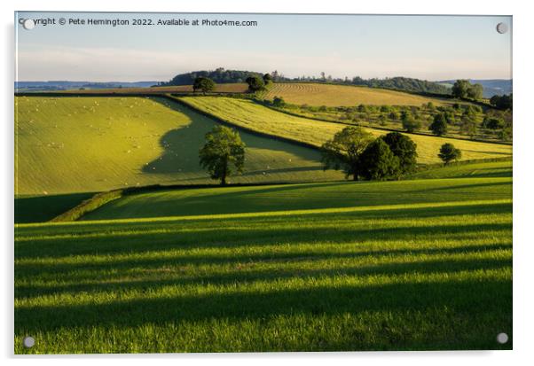 Rural Mid Devon Acrylic by Pete Hemington