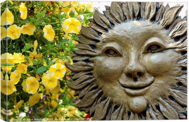 Smiling Sunflower Face Canvas Print by John Mitchell