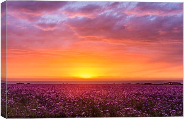 Sunset at Godrevey, Cornwall Canvas Print by Keith Douglas