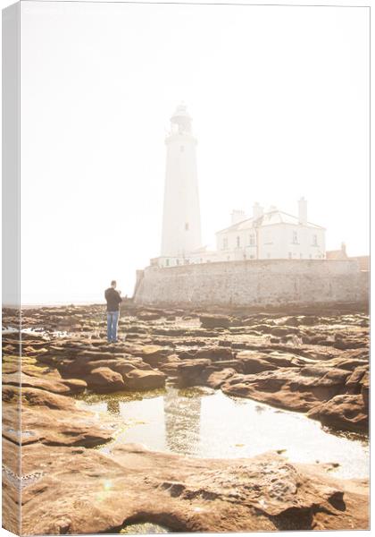 Illuminated Morning: St Marys Lighthouse in Fog Canvas Print by Holly Burgess