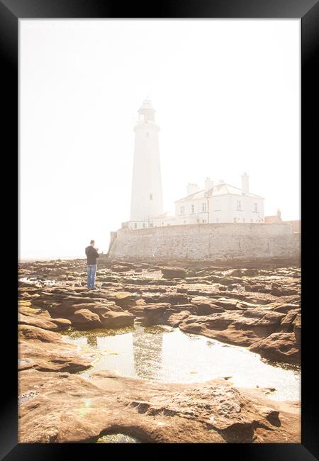 Illuminated Morning: St Marys Lighthouse in Fog Framed Print by Holly Burgess