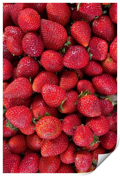 Strawberries  Print by Joyce Hird