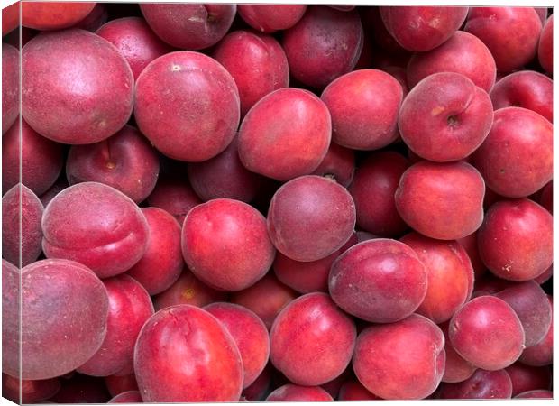 Red plums Canvas Print by Joyce Hird