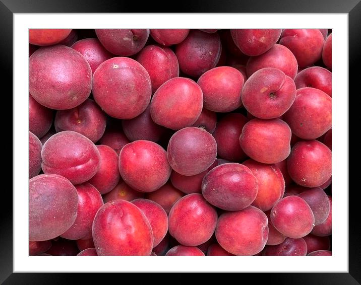 Red plums Framed Mounted Print by Joyce Hird