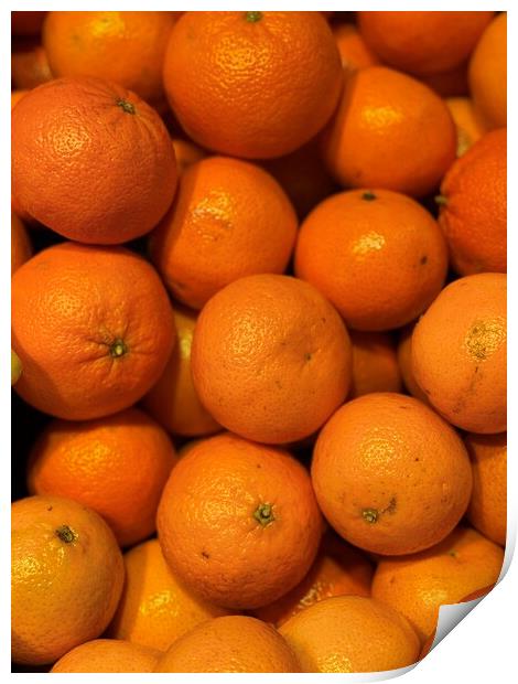 Mandarins oranges Print by Joyce Hird