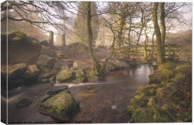 Padley Gorge By Moonlight Canvas Print by Tim Gamble