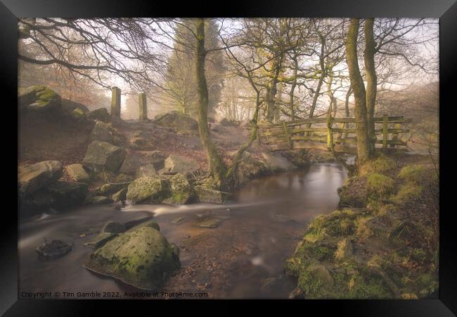 Padley Gorge By Moonlight Framed Print by Tim Gamble