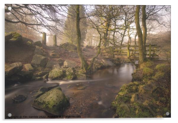 Padley Gorge By Moonlight Acrylic by Tim Gamble