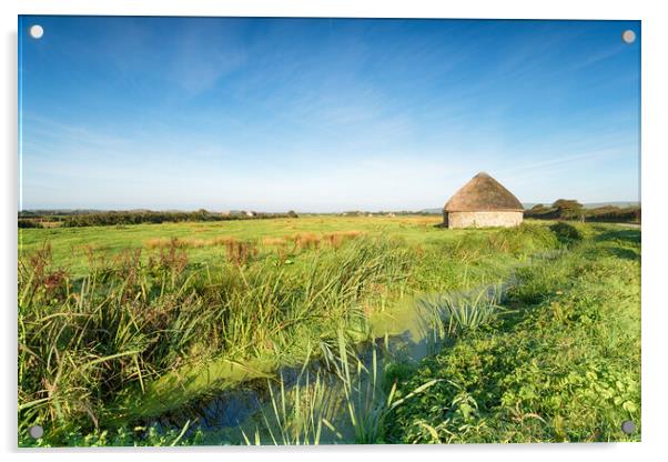 Braunton Marshes Linhay Acrylic by Helen Hotson