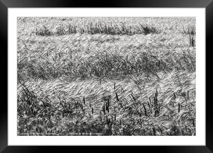 Corn field Framed Mounted Print by Simon Johnson