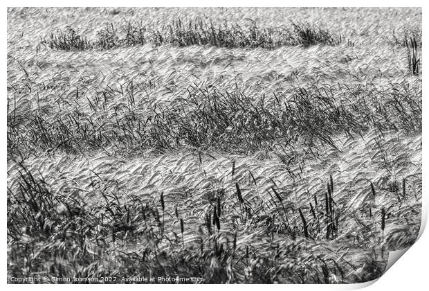 Corn field Print by Simon Johnson