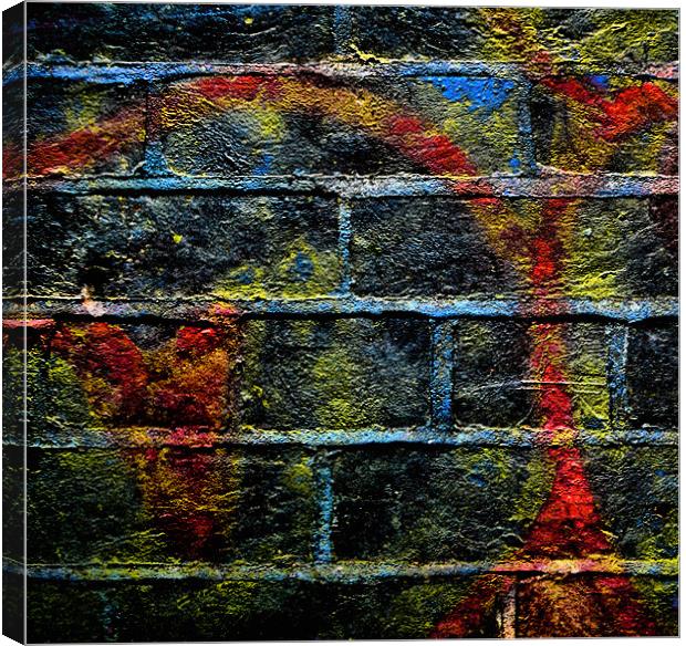 graffiti bricks Canvas Print by Heather Newton
