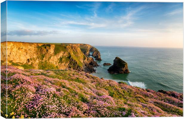 Thrift at Bedruthan in Cornwall Canvas Print by Helen Hotson