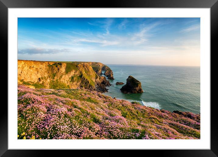Thrift at Bedruthan in Cornwall Framed Mounted Print by Helen Hotson