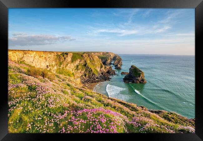 Cornish Cliffs in Summer Framed Print by Helen Hotson
