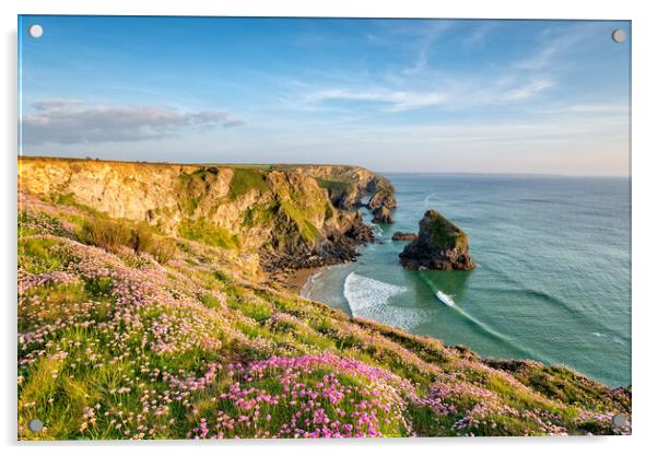 Cornish Cliffs in Summer Acrylic by Helen Hotson