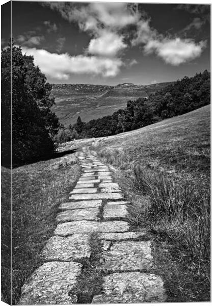   Path to Kinder Scout   Canvas Print by Darren Galpin